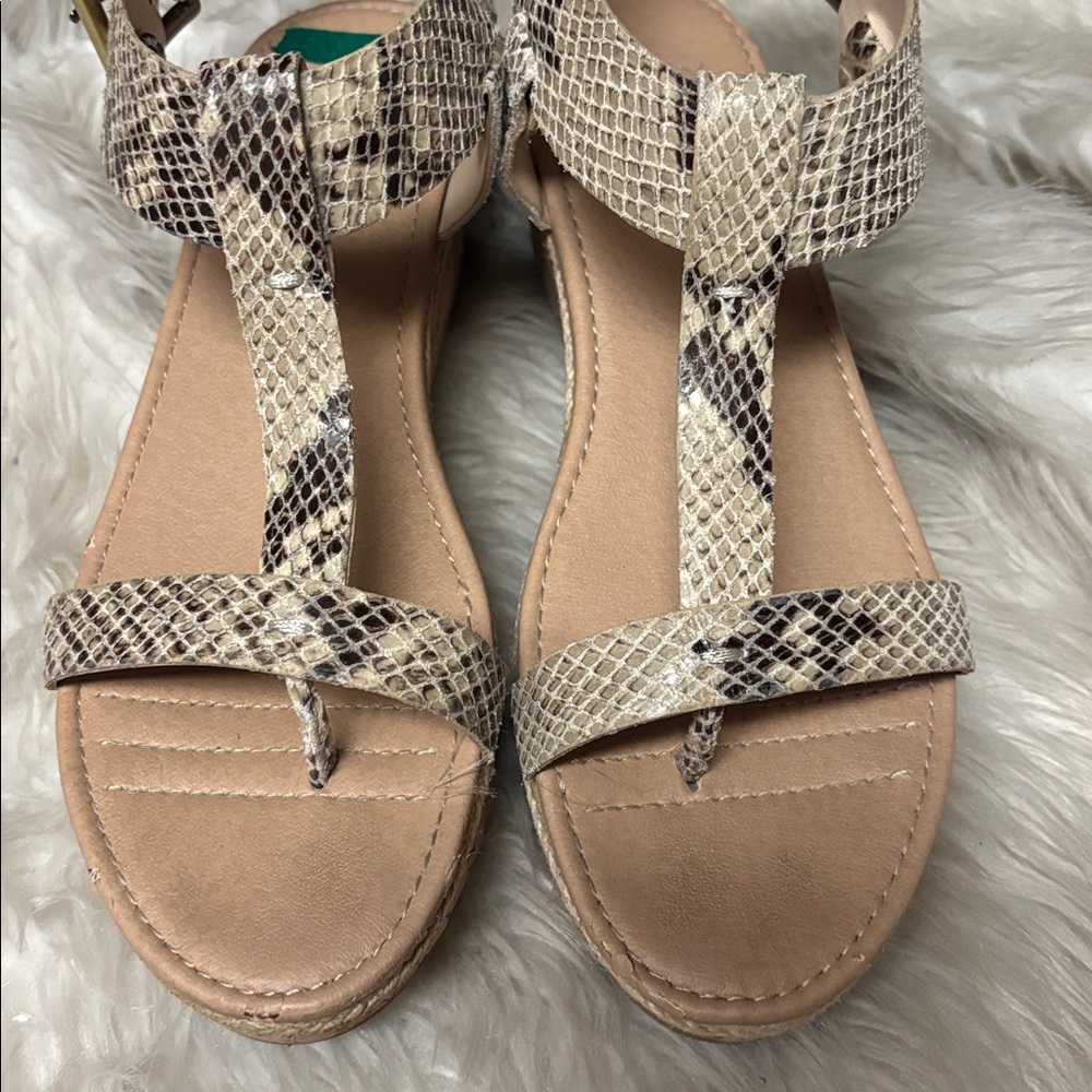 Simply Pelle Kane Snakeskin Python Bronze Wedge S… - image 2